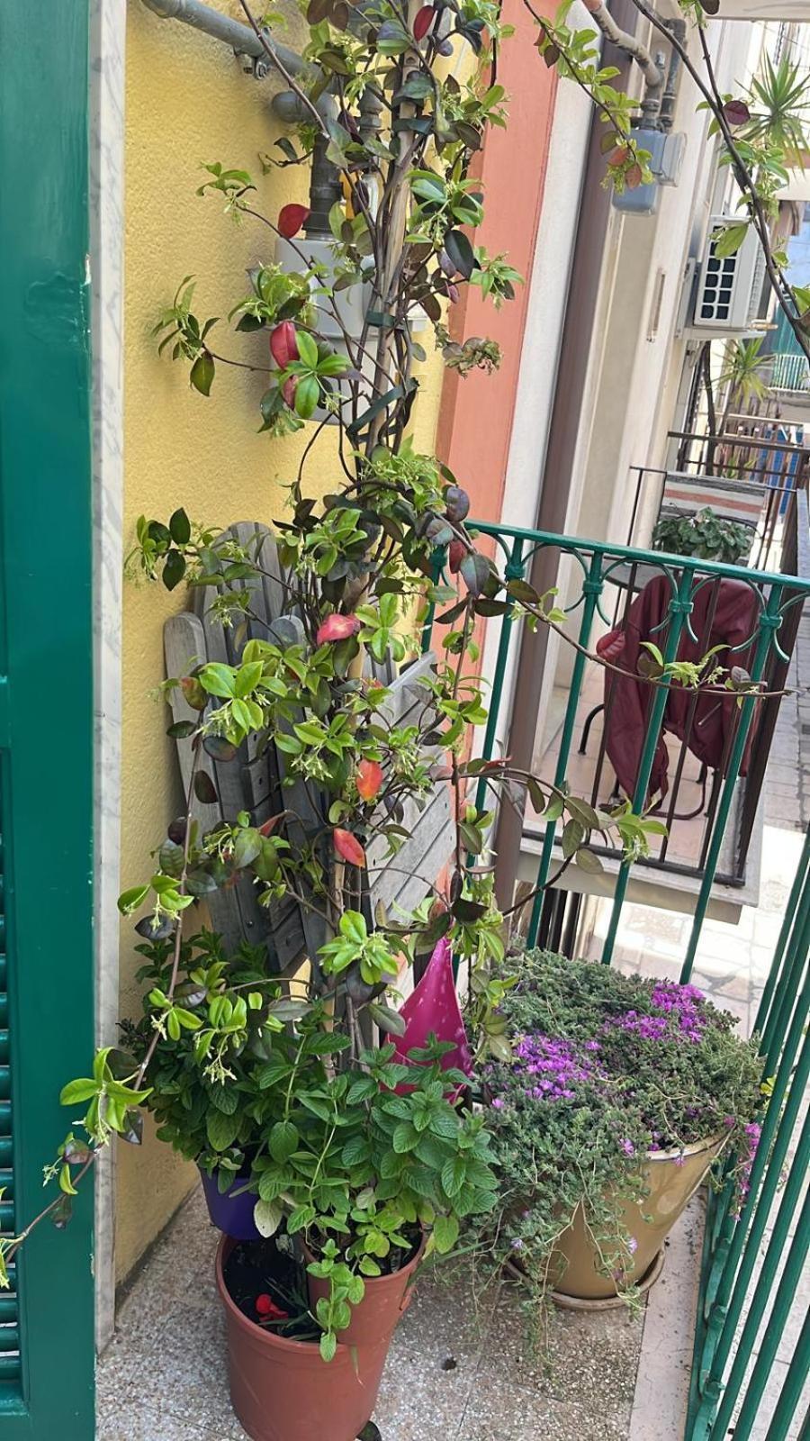 הוילה מולה די בארי La Casa Di Nonna Sisina מראה חיצוני תמונה