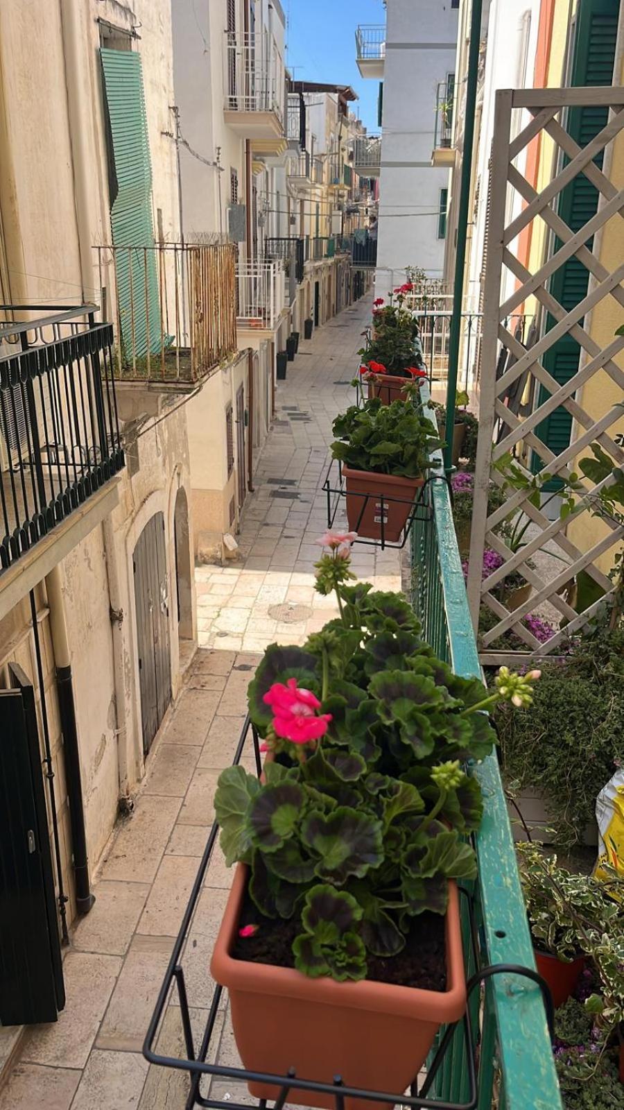 הוילה מולה די בארי La Casa Di Nonna Sisina מראה חיצוני תמונה
